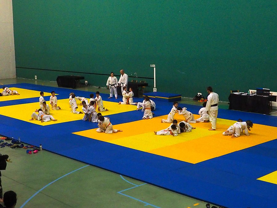 Datorren astean hasiko da judo ikasturtea